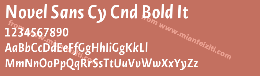 Novel Sans Cy Cnd Bold It预览图1