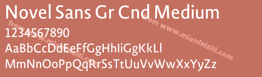 Novel Sans Gr Cnd Medium预览图1