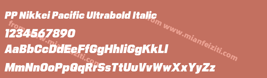 PP Nikkei Pacific Ultrabold Italic预览图1