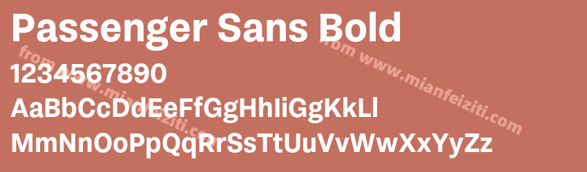 Passenger Sans Bold预览图1