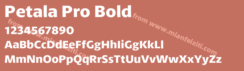 Petala Pro Bold预览图1
