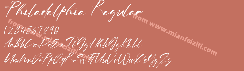 Philadelphia Regular预览图1