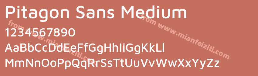 Pitagon Sans Medium预览图1