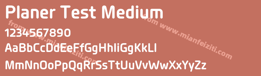 Planer Test Medium预览图1