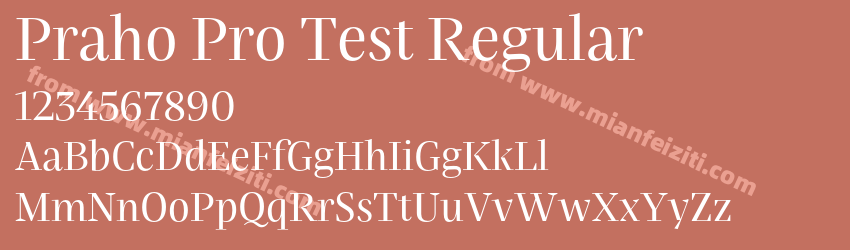 Praho Pro Test Regular预览图1