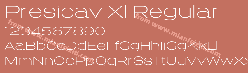 Presicav Xl Regular预览图1