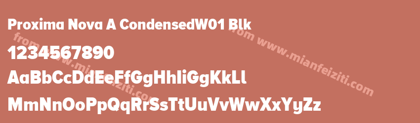 Proxima Nova A CondensedW01 Blk预览图1