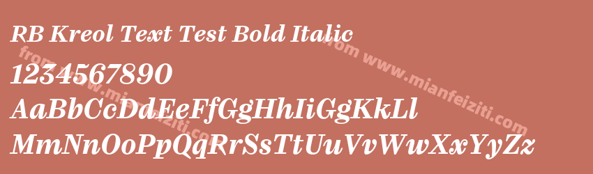 RB Kreol Text Test Bold Italic预览图1