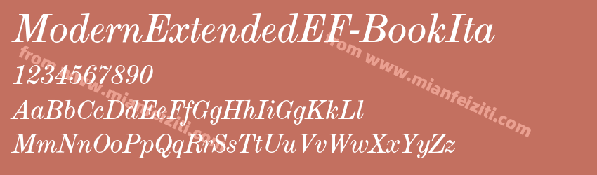 Modern ExtendedEF Book Ita预览图1