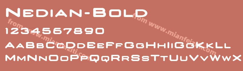 Nedian Bold预览图1