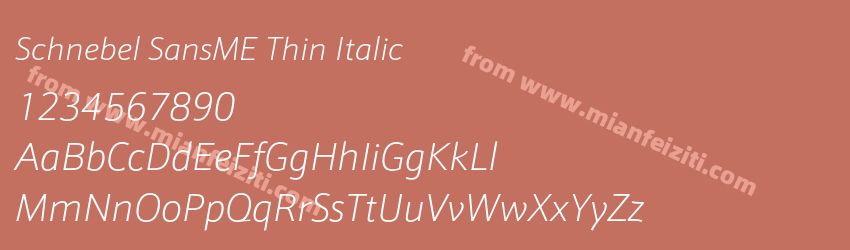 Schnebel SansME Thin Italic预览图1