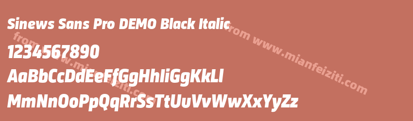 Sinews Sans Pro DEMO Black Italic预览图1