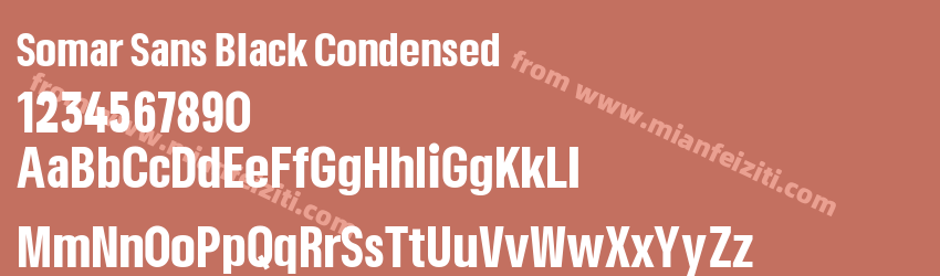 Somar Sans Black Condensed预览图1