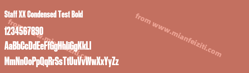 Staff XX Condensed Test Bold预览图1