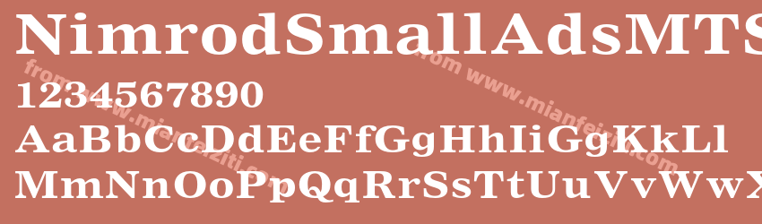 Nimrod Small Ads MT Std Bold预览图1