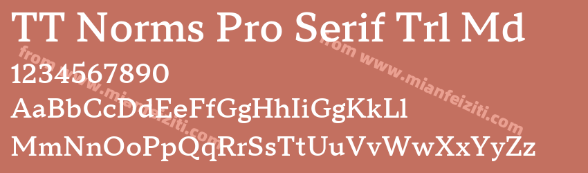 TT Norms Pro Serif Trl Md预览图1