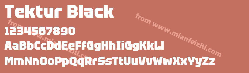 Tektur Black预览图1
