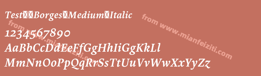Test_ Borges Medium Italic预览图1