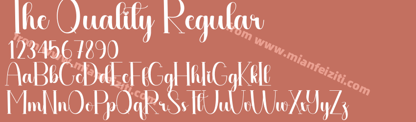 The Quality Regular预览图1