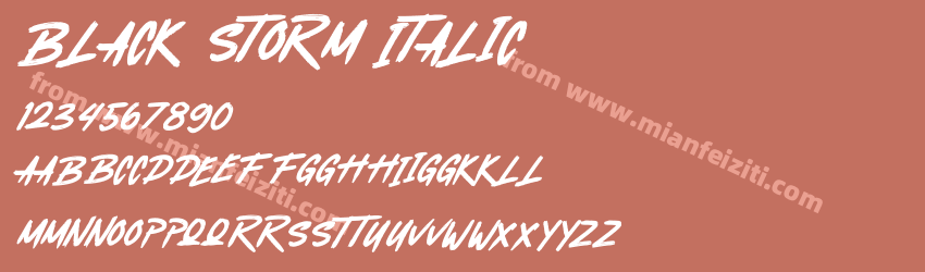 Black Storm Italic预览图1