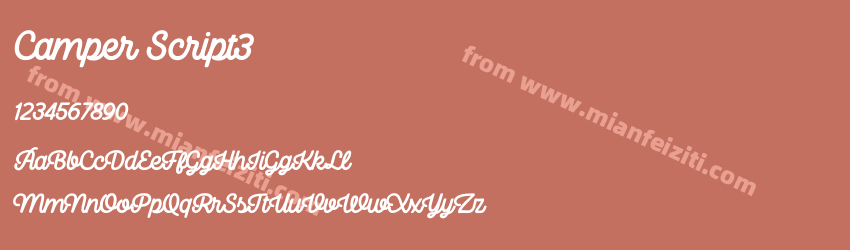 Camper Script3预览图1