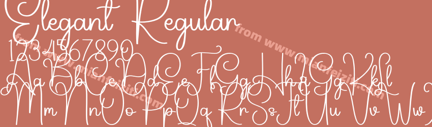 Elegant Regular预览图1
