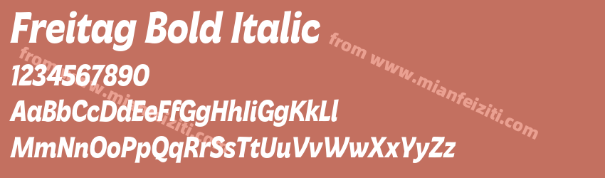 Freitag Bold Italic预览图1