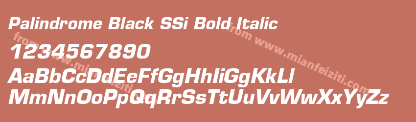 Palindrome Black S Si Bold Italic预览图1