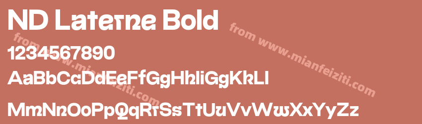 ND Laterne Bold预览图1