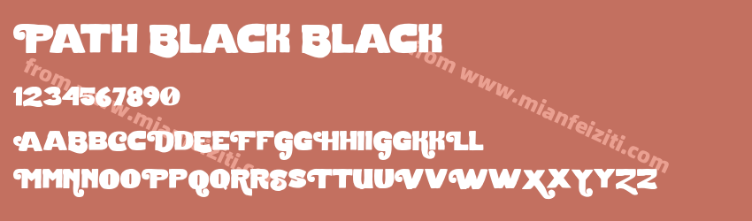 Path Black Black预览图1