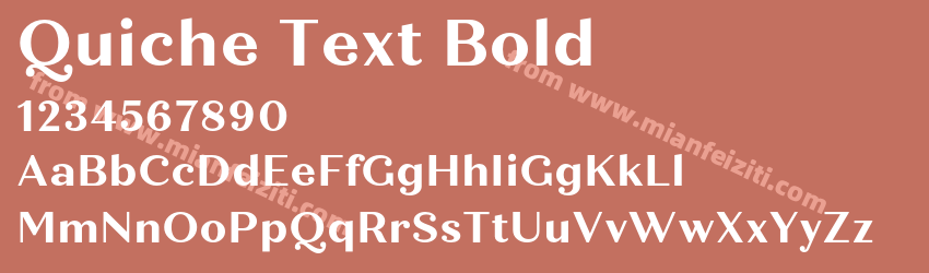 Quiche Text Bold预览图1
