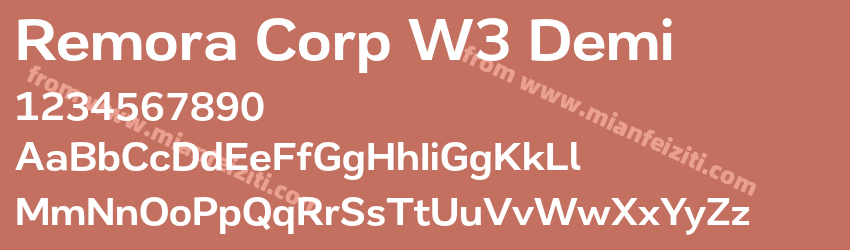 Remora Corp W3 Demi预览图1