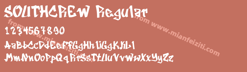 SOUTHCREW Regular预览图1