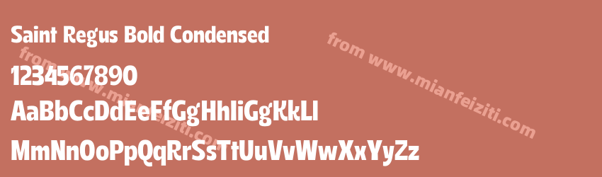 Saint Regus Bold Condensed预览图1