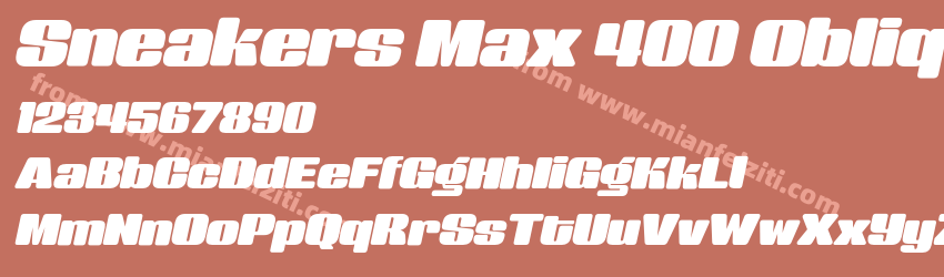 Sneakers Max 400 Oblique预览图1