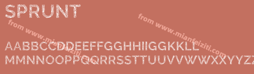 Sprunt预览图1