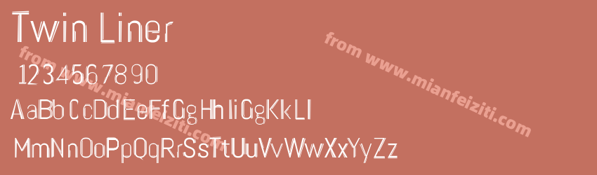 Twin Liner预览图1