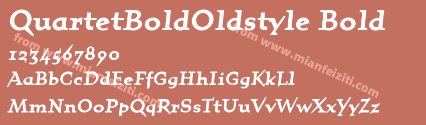 Quartet Bold Oldstyle Bold预览图1