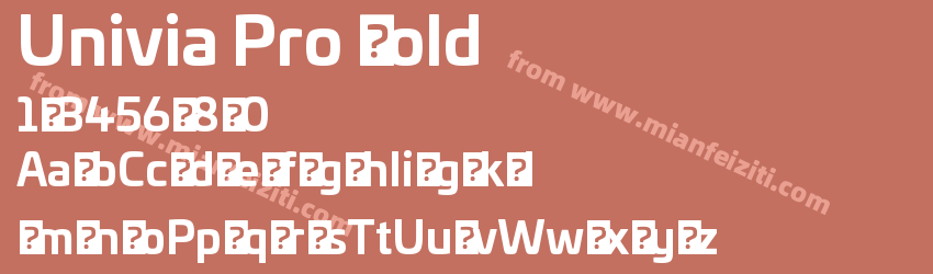 Univia Pro Bold预览图1