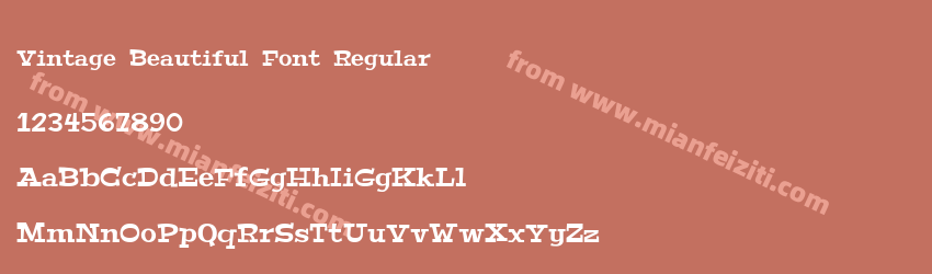 Vintage Beautiful Font Regular预览图1