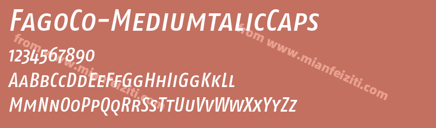 Fago Co Mediumtalic Caps预览图1
