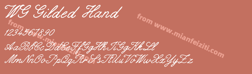 WG Gilded Hand预览图1