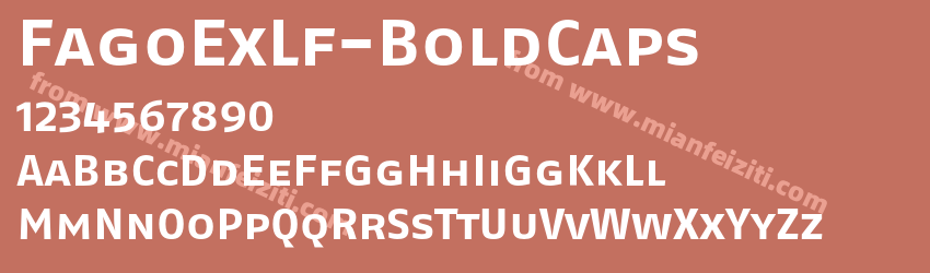 Fago Ex Lf Bold Caps预览图1