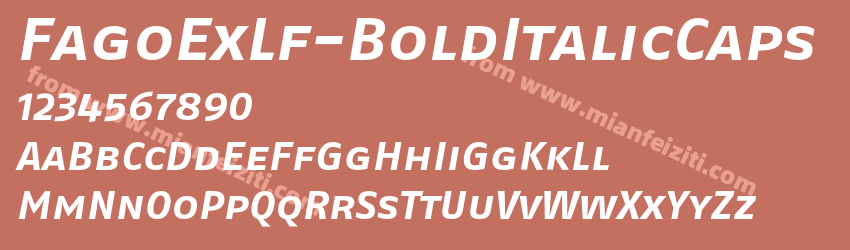 Fago Ex Lf Bold Italic Caps预览图1
