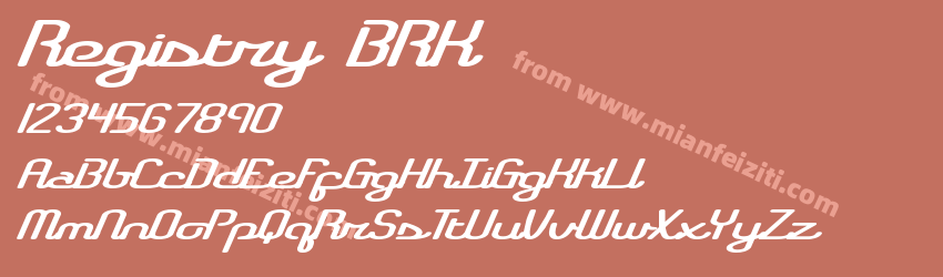 Registry BRK预览图1