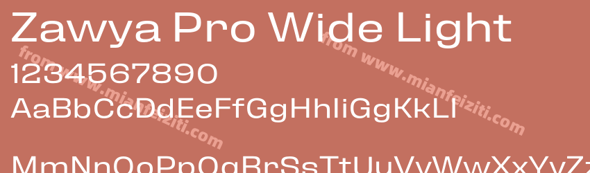 Zawya Pro Wide Light预览图1
