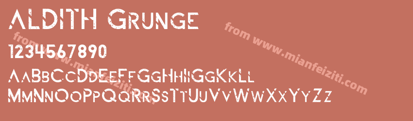 ALDITH Grunge预览图1