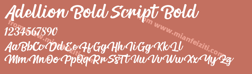 Adellion Bold Script Bold预览图1