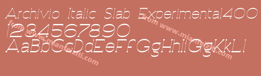Archivio Italic Slab Experimental400预览图1