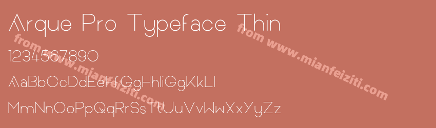 Arque Pro Typeface Thin预览图1